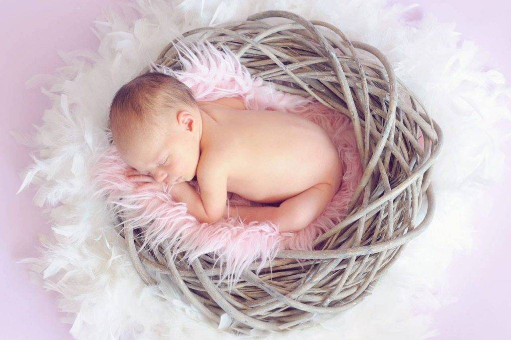 baby-sleeping-in-nest-1024x682-1