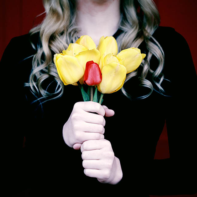 yellow-red-tulips_640-1